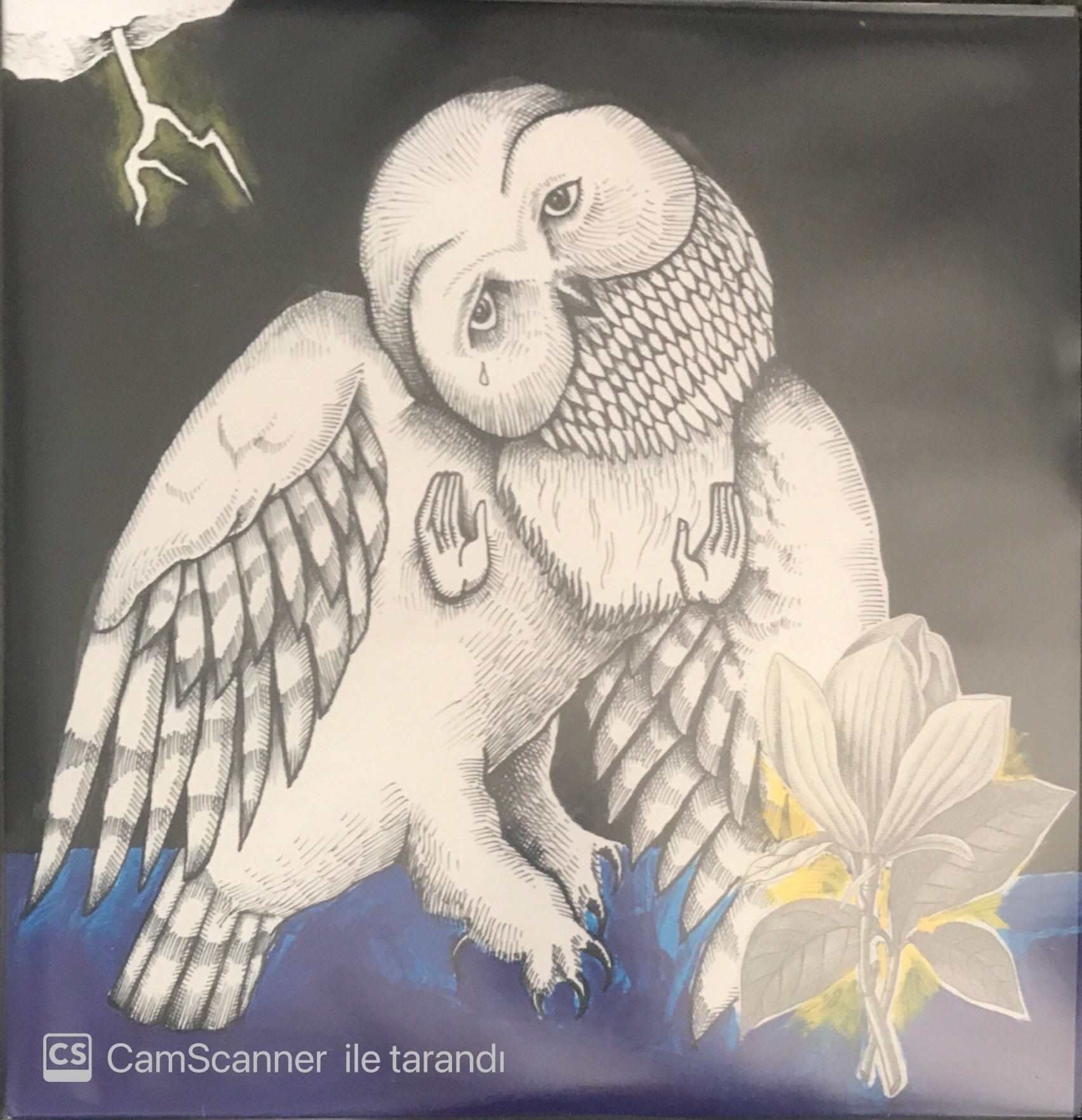 Songs: Ohia Magnolia Electric Co. LP