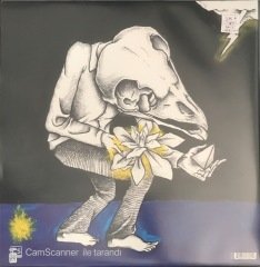 Songs: Ohia Magnolia Electric Co. LP