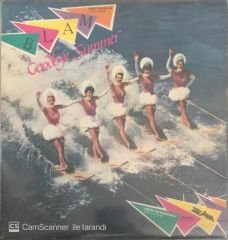 Blam Goodbye Summer LP