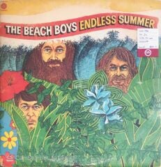 The Beach Boys - Endless Summer - Double LP