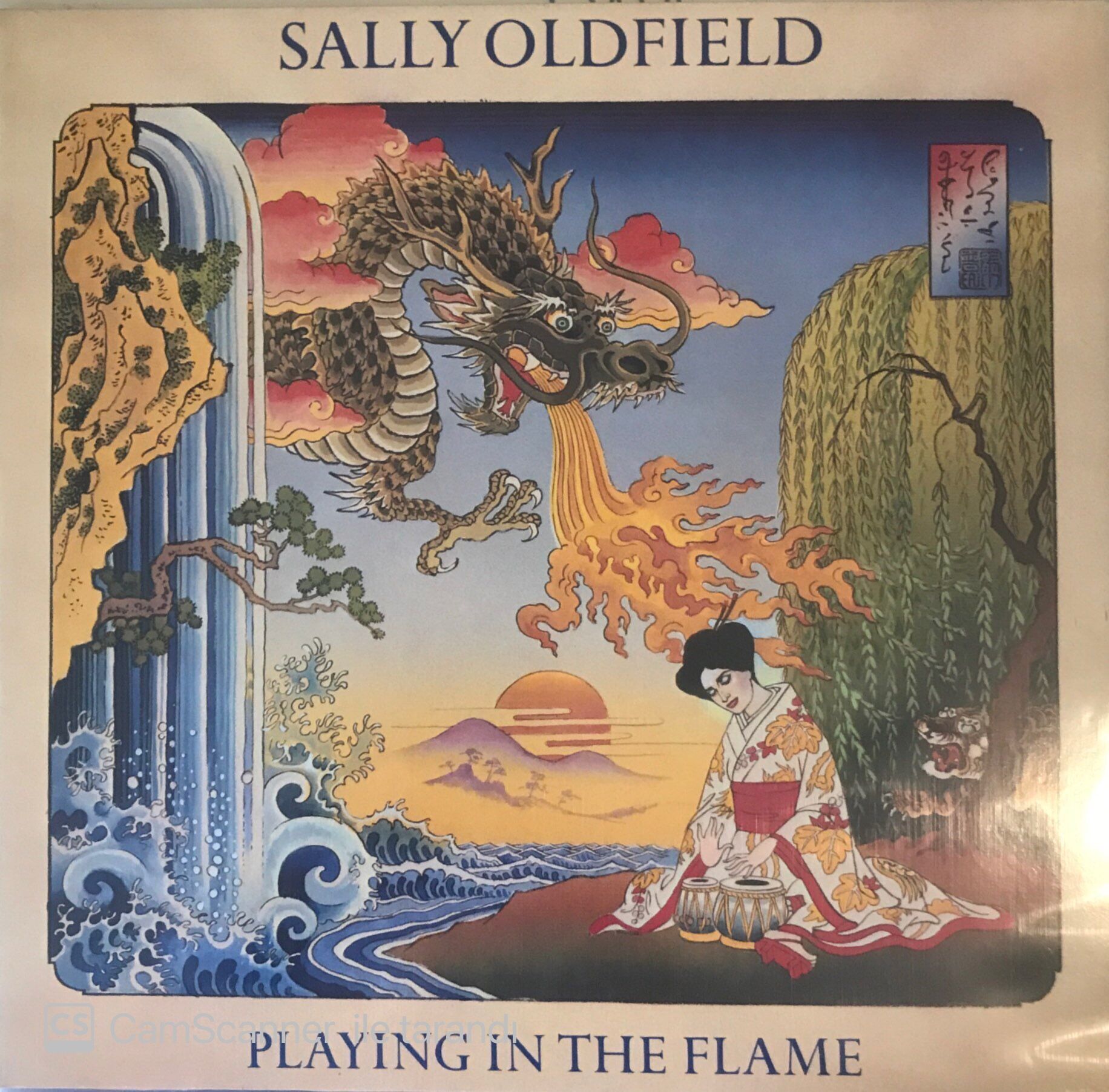 Sally Oldfıeld Playıng In the Flame LP