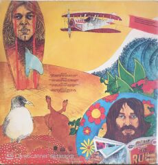 The Beach Boys - Endless Summer - Double LP