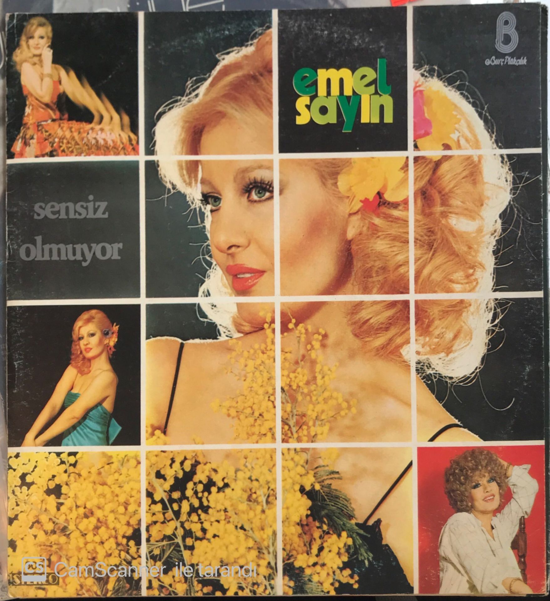 Emel Sayın - Sensiz Olmuyor LP