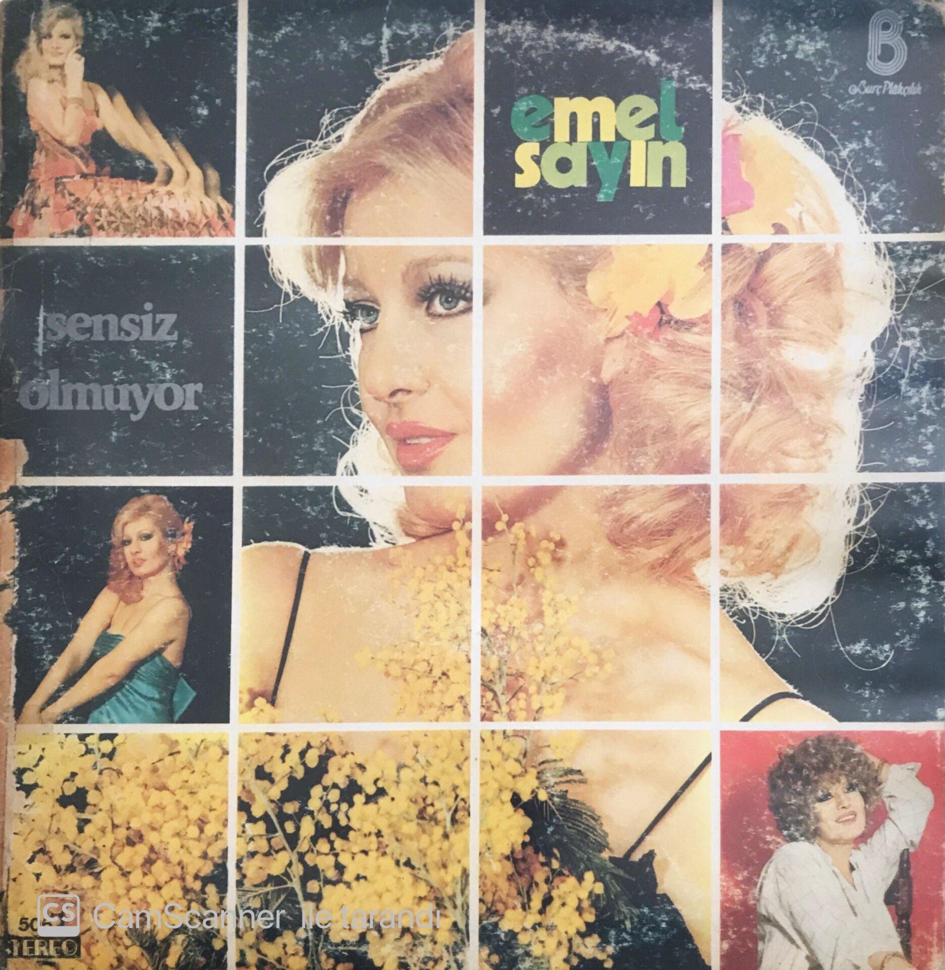 Emel Sayın - Sensiz Olmuyor - LP