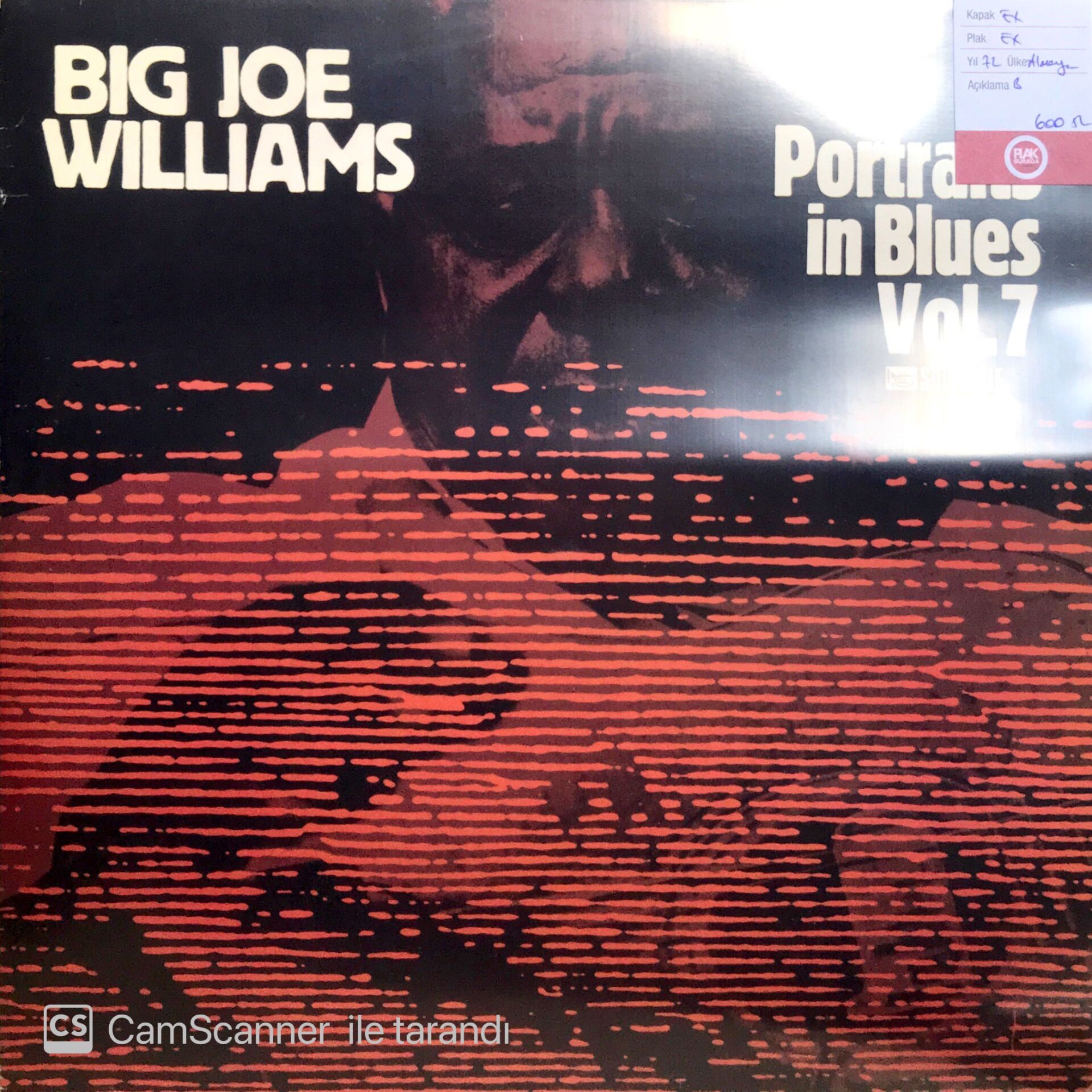 Big Joe Williams / Portraits In Blues Vol.7 LP