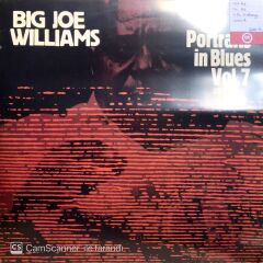 Big Joe Williams / Portraits In Blues Vol.7 LP