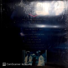 Berlin / Count Three & Pray LP