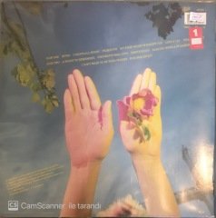 Cyndi Lauper A Night To Remember LP