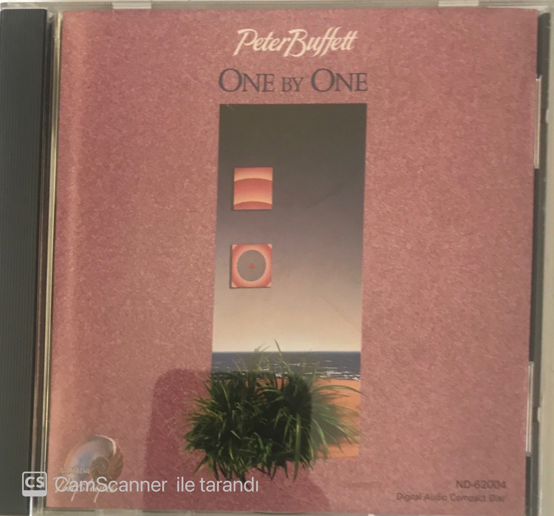 Peter Buffett One By One CD