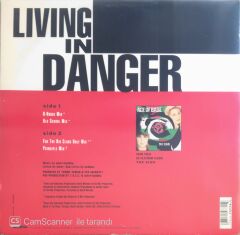Ace Of Base - Living In Danger (Maxi Single)- LP