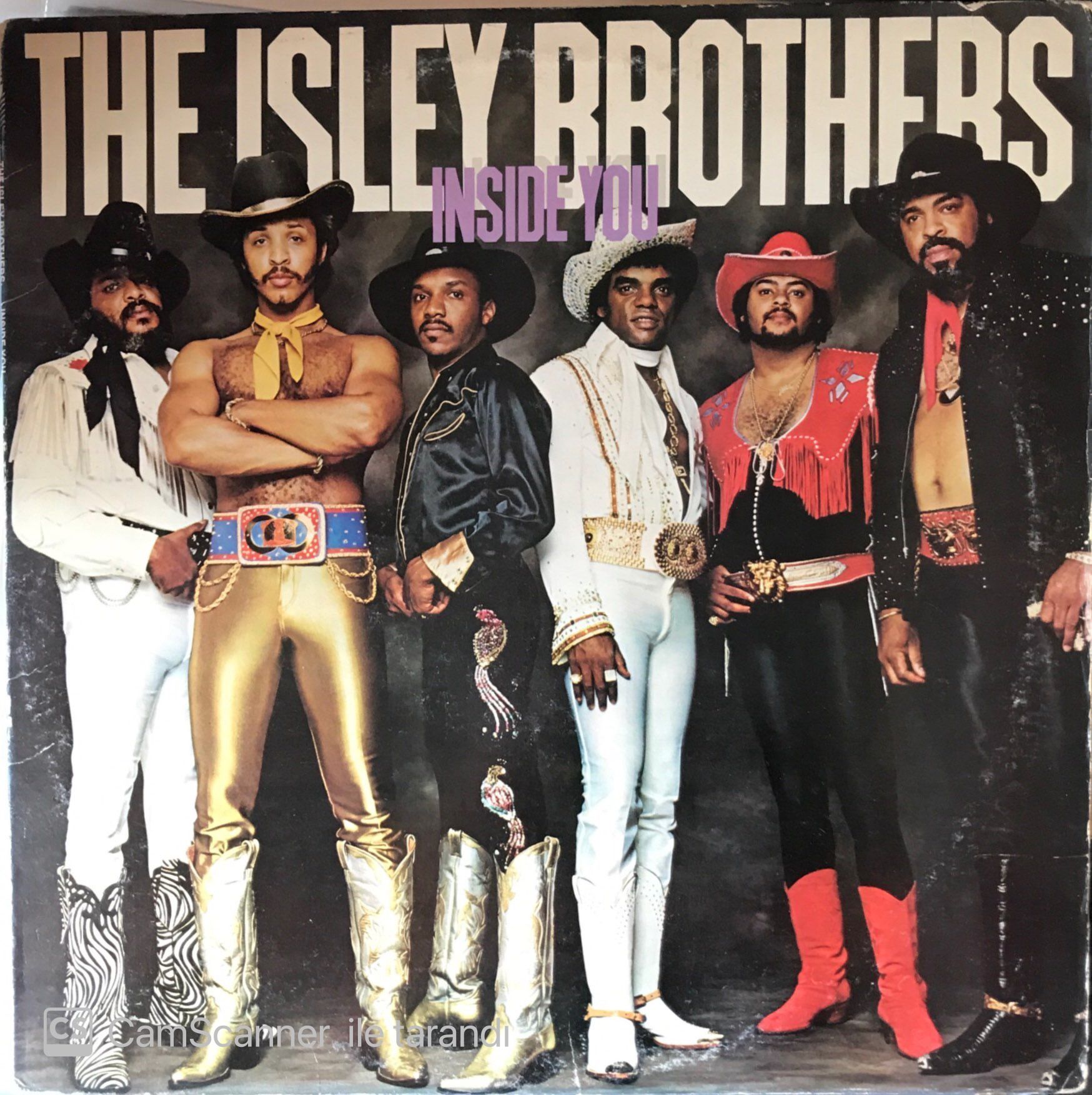 The Isley Brother - Inside You LP