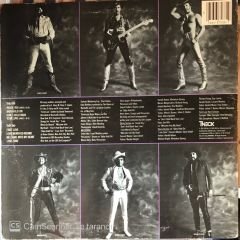 The Isley Brother - Inside You LP