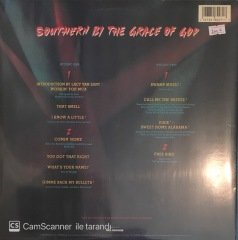 Lynyrd Skynyrd Live Double LP