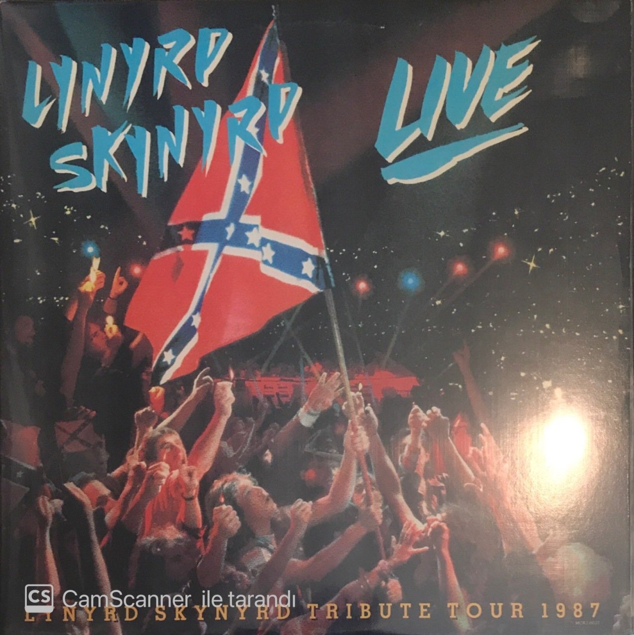 Lynyrd Skynyrd Live Double LP