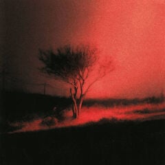 Joji - Piss In The Wind - LP