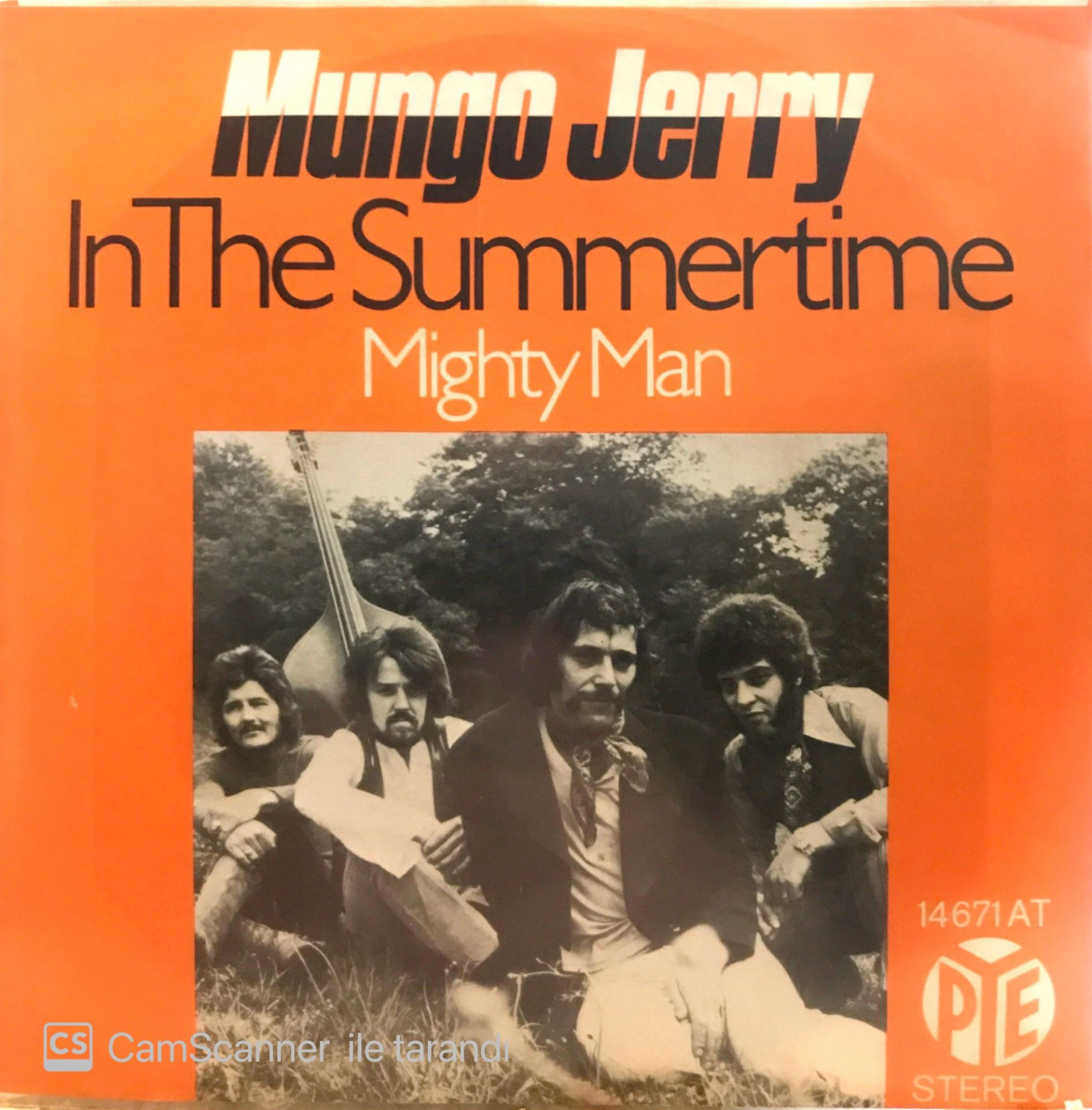 Mungo Jerry in the Summertime 45lik
