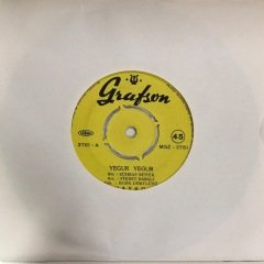 Hayko Yegur Yegur 45lik