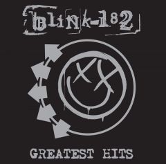 Blink 182 - Greatest Hits Double LP