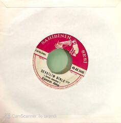 Kamuran Akkor Sevgilim Dinle 45lik