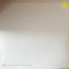 The White Stripes - I Think I Smell A Hype In London 2001 Picture Disc LP