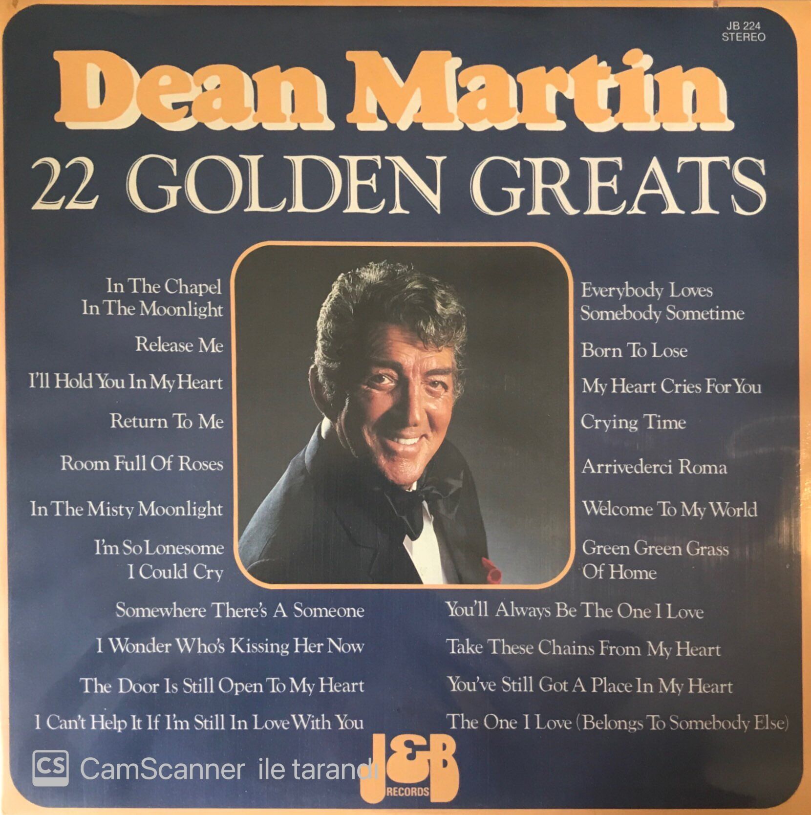 Dean Martın 22 Golden Greats LP