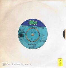 Tayfun - İki Çift Laf/İnce Memet - 45'lik