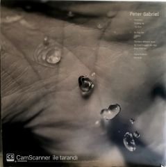 Peter Gabriel 2 LP