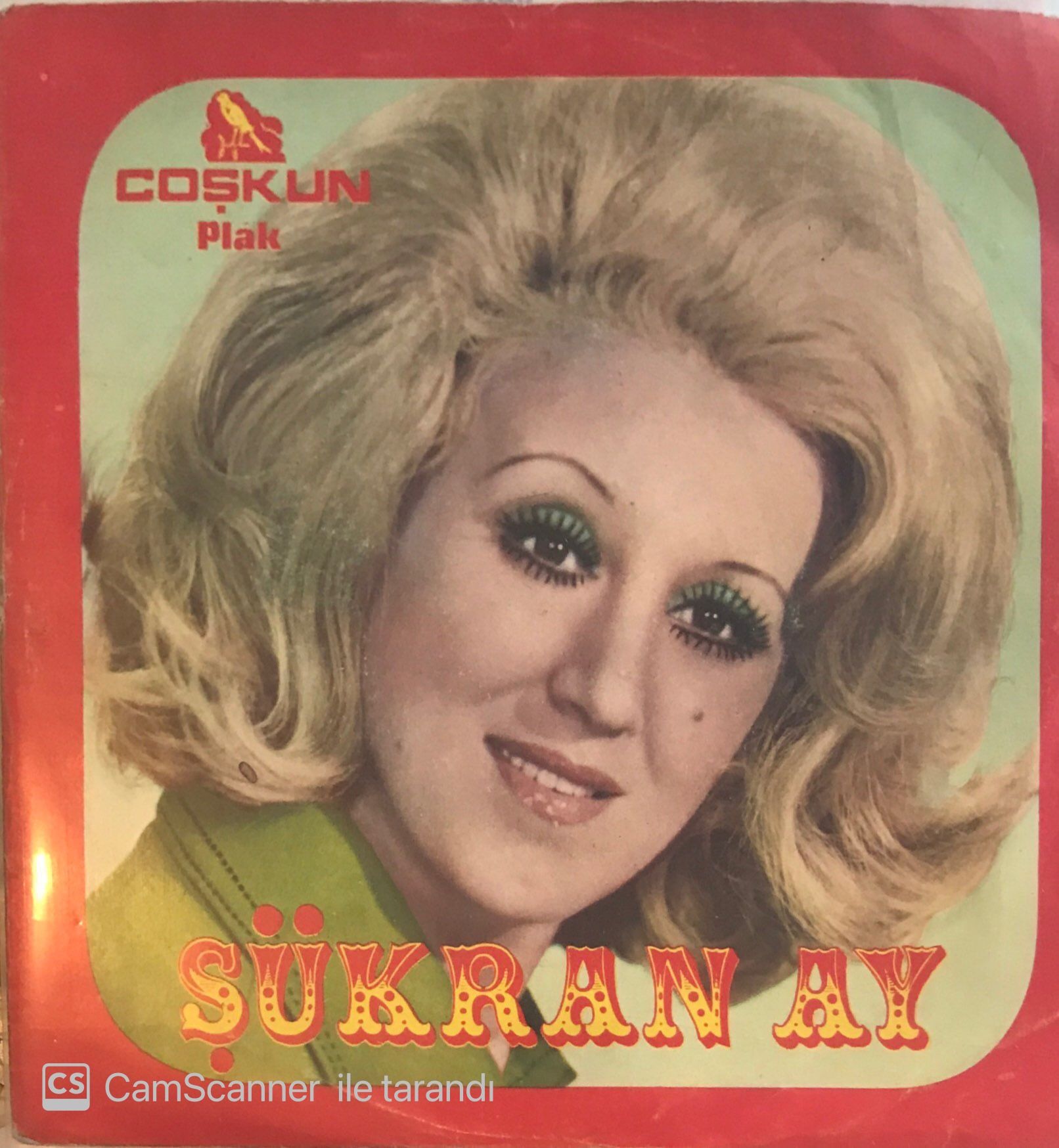 Şükran Ay Adaletin Bu Mu Dünya 45lik