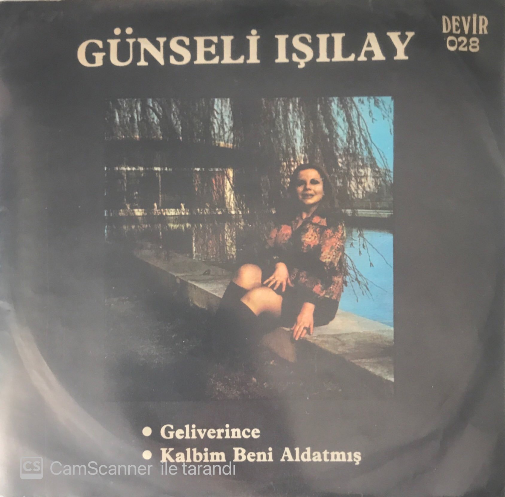 Günseli Işılay Geliverince 45lik
