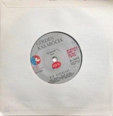 Ferdi Tayfur Kır Çiçekleri 45lik