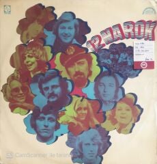 12 Narok - LP