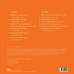 Artık Sevmeyeceğim Yeşil Çam Şarkıları 2 LP