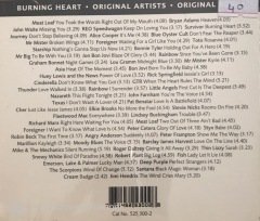 Insignia Burning Heart 2'li CD