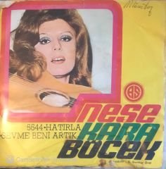 Neşe Karaböcek - Hatırla 45lik