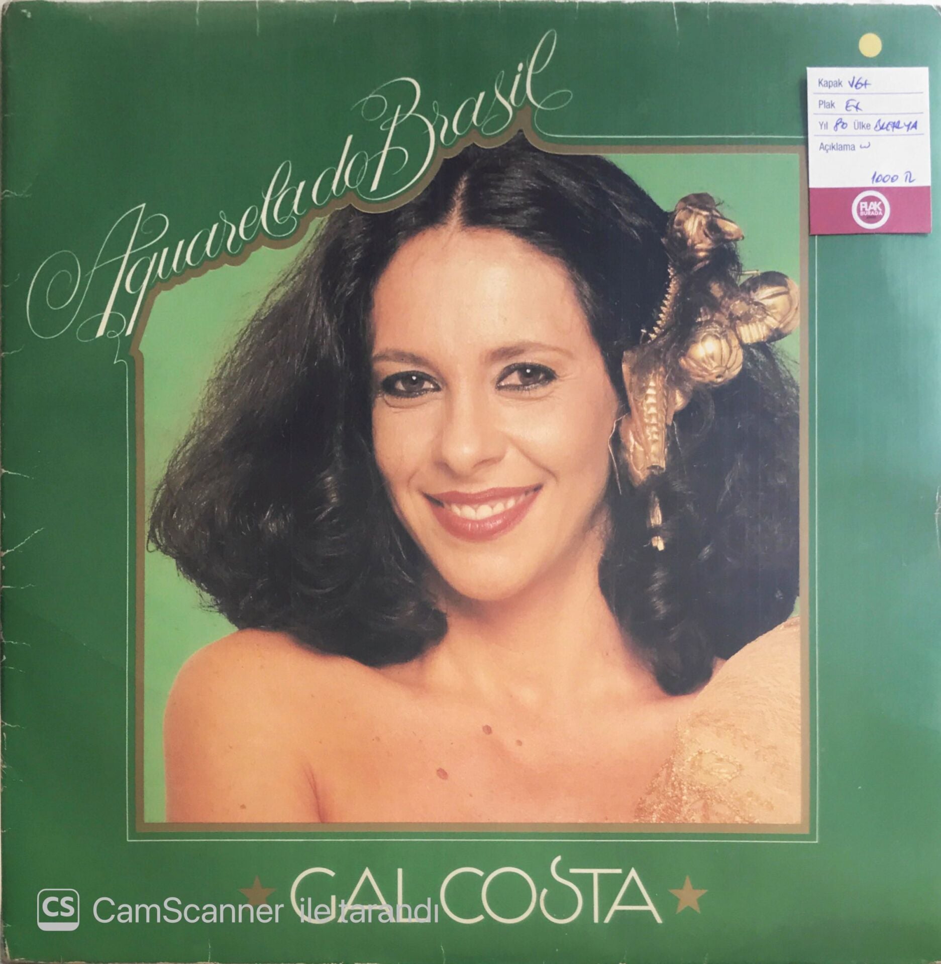 Gal Costa - Aquarela Do Brasil - LP