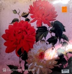 Godspeed You! Black Emperor / Asunder, Sweet and Other Distress LP + Poster