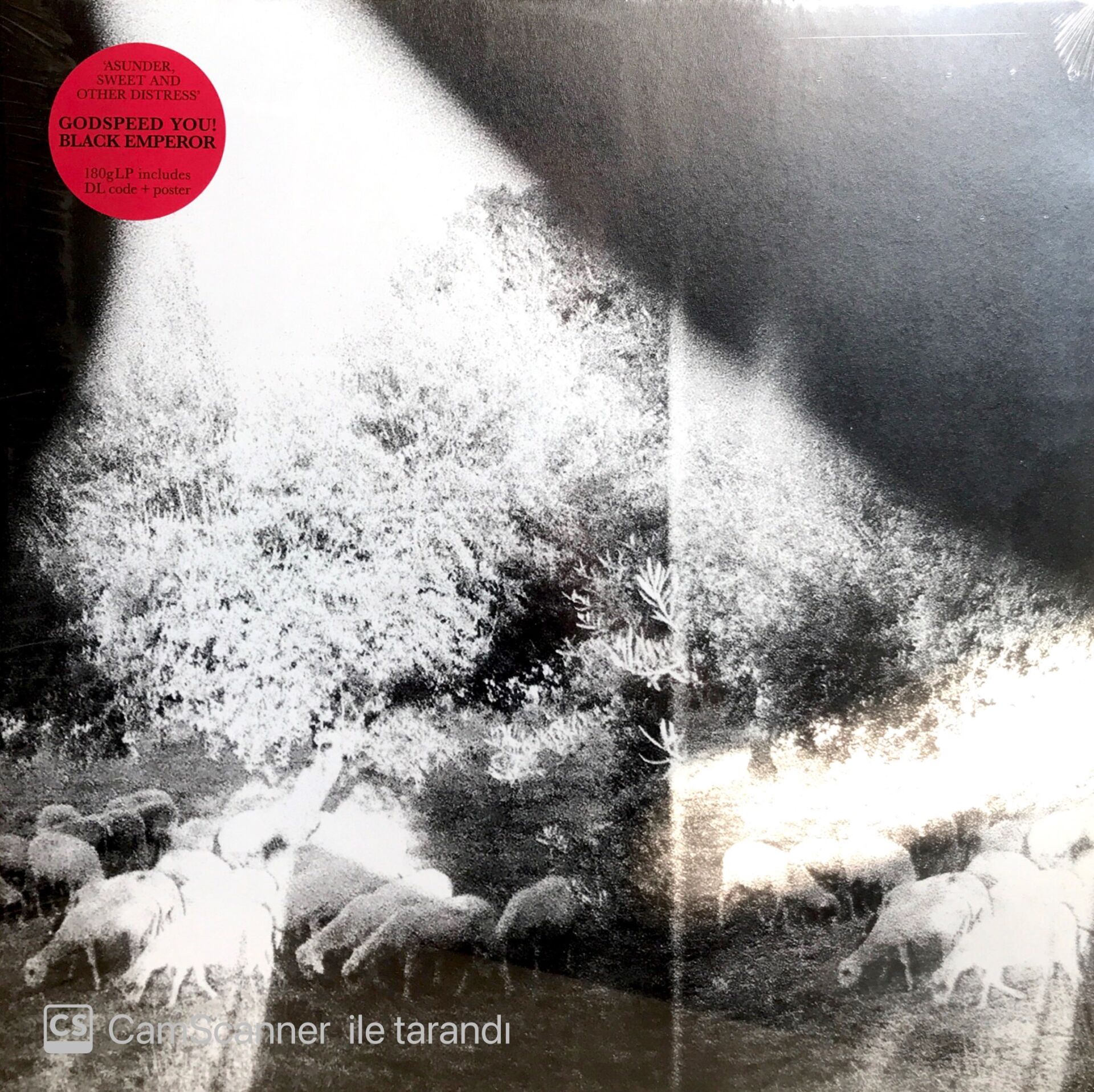 Godspeed You! Black Emperor / Asunder, Sweet and Other Distress LP + Poster