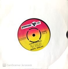 Serpil Barlas / Farkın Kalmadı 45'lik