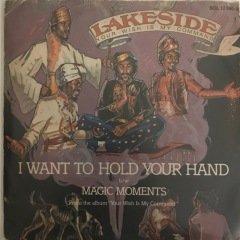 Lakeside I Want To Hold Your Hand 45lik