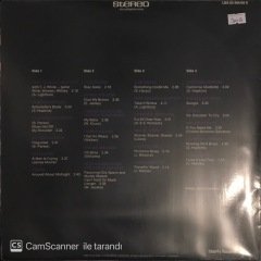 Dirt Blues Double LP