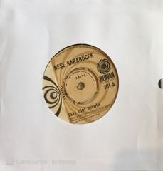 Neşe Karaböcek Deli Gibi Sevdim 45lik