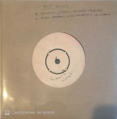 Nesrin Sipahi - Ankara Rüzgarı 45lik (Test Baskı)