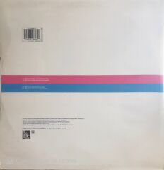 Diana - I Will Survive (Maxi Single) - LP