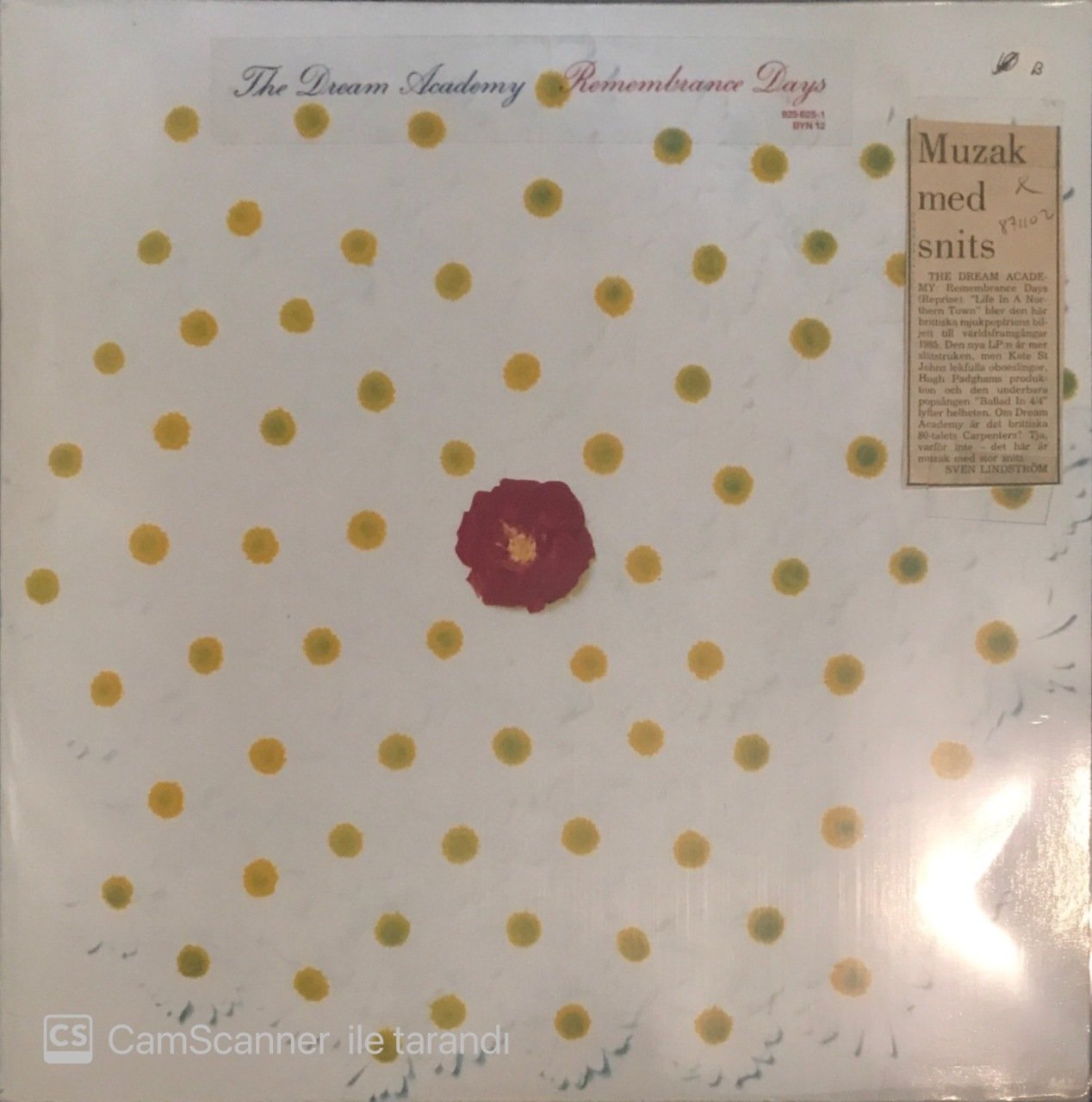The Dream Academy Remembrance Days LP
