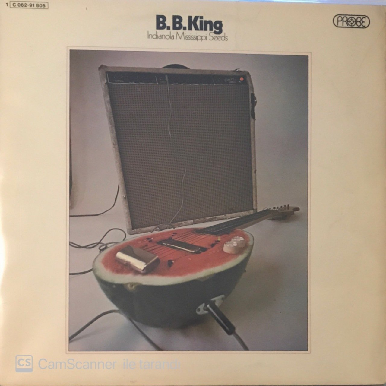 B.B. King Indianola Mississippi Seeds LP