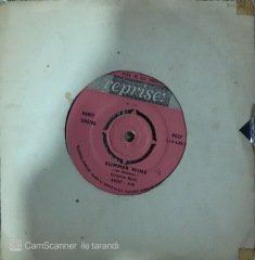 Nancy Sinatra Sugar Town 45lik
