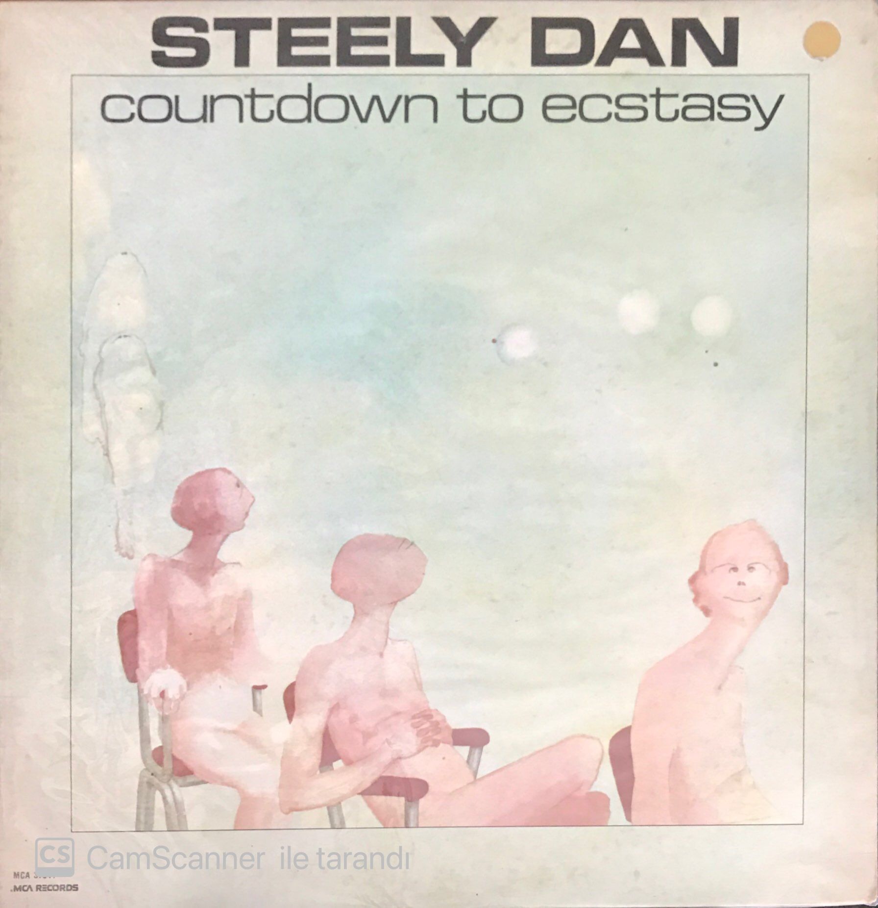 Steely Dan Countdown To Ecstacy LP