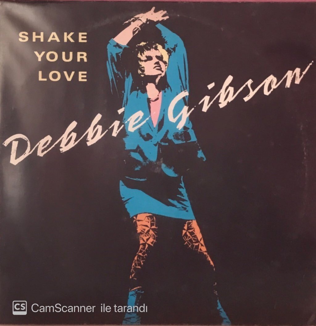 Debbie Gibson Shake Your Love MAXİ