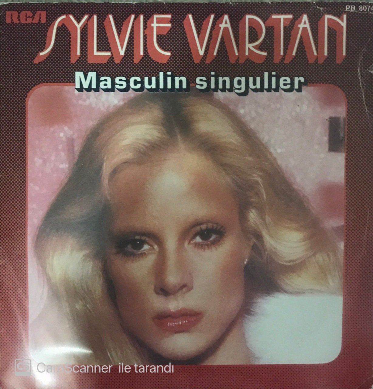 Sylvie Vartan Masculin Singulier 45lik