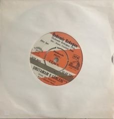 Özdemir Erdoğan Unutamam O Günleri 45lik